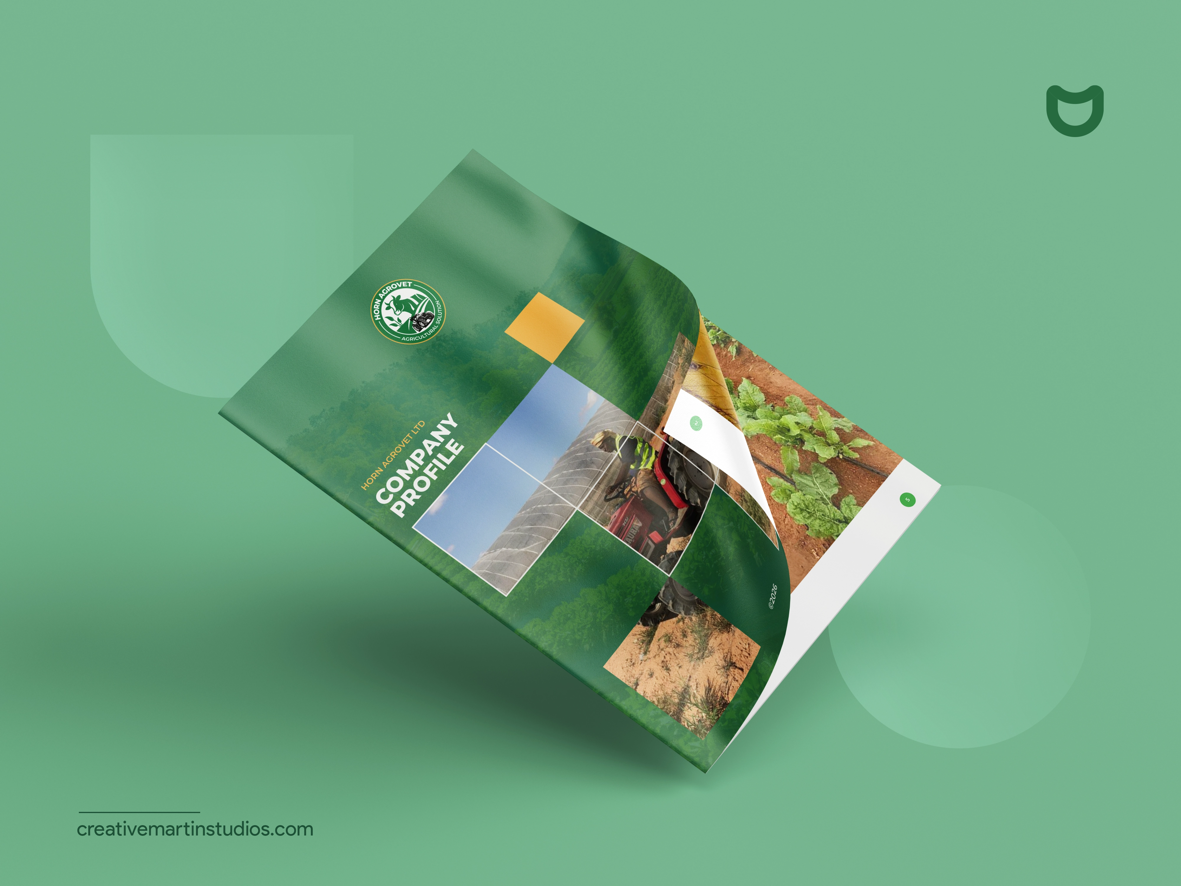 Company Profile Design for Horn Agrovet Ltd